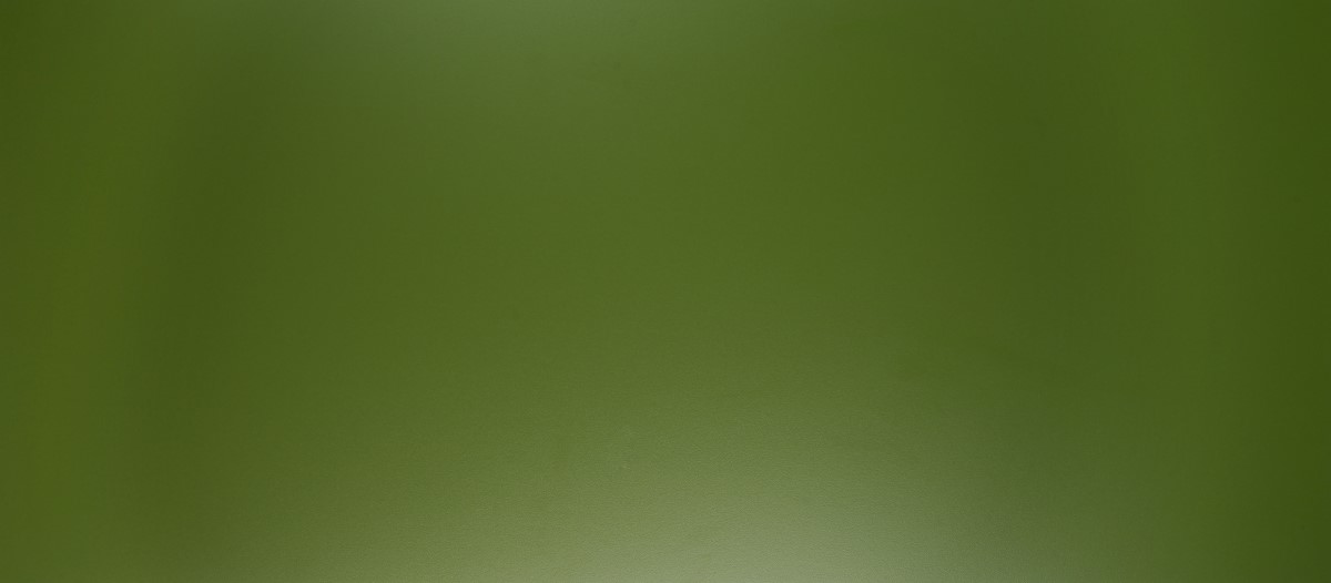 Dekor Limette