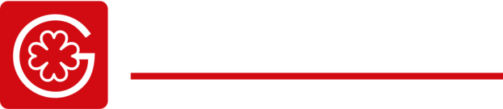 Logo Giesser